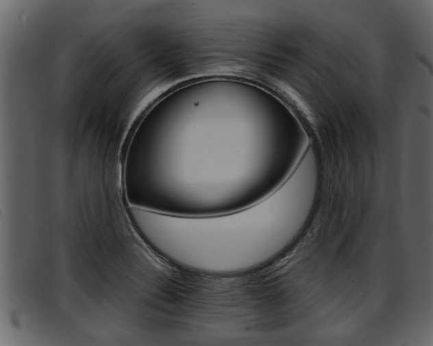 X0000094951324200711291056
