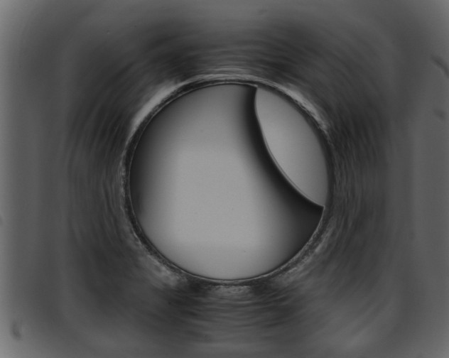 X0000094951325200711291056
