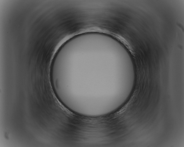 X0000094951326200711291056