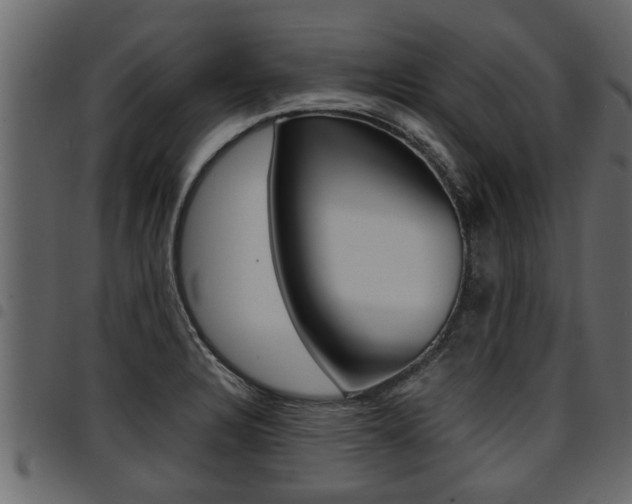 X0000094951328200711291056