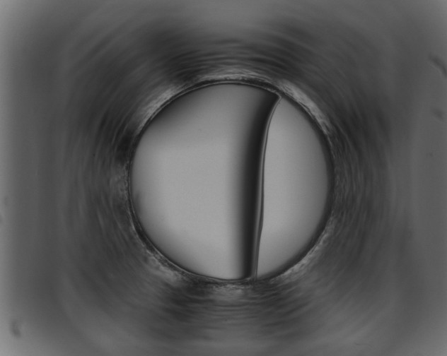 X0000094951329200711291056