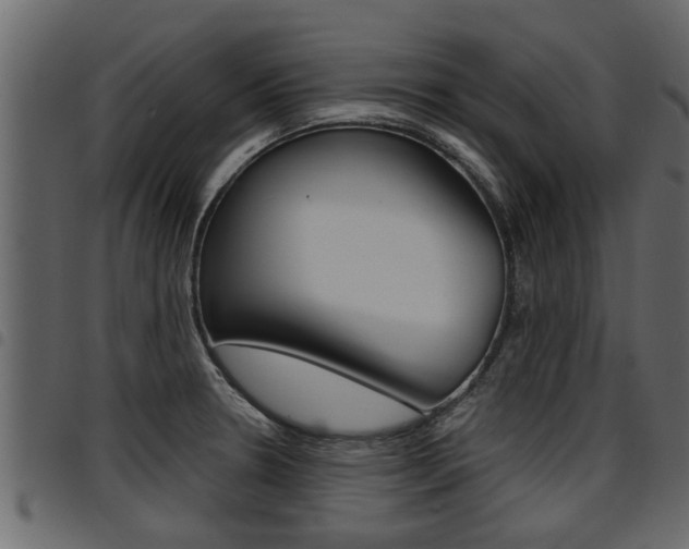 X0000094951330200711291056