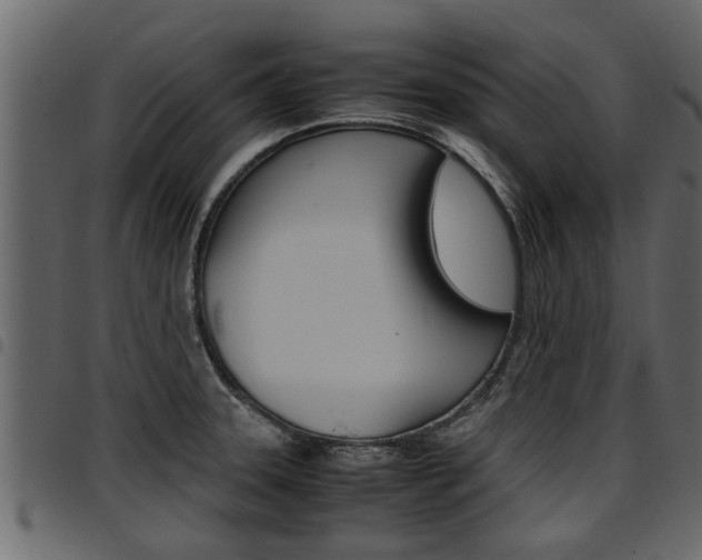 X0000094951331200711291056