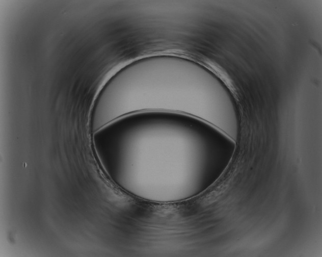 X0000094951332200711291056