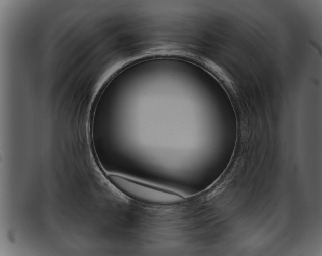 X0000094951334200711291056