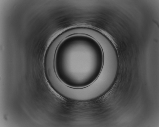 X0000094951335200711291056
