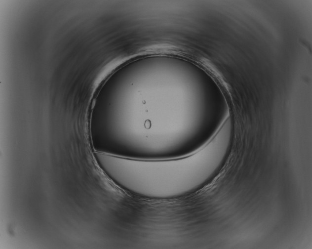 X0000094951336200711291056
