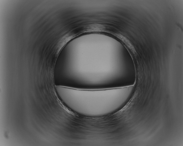 X0000094951337200711291056