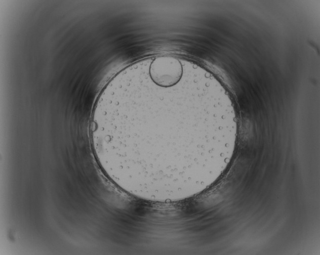 X0000094951338200711291056