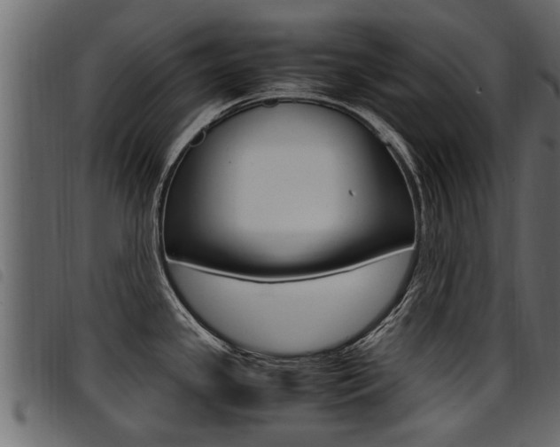 X0000094951341200711291056