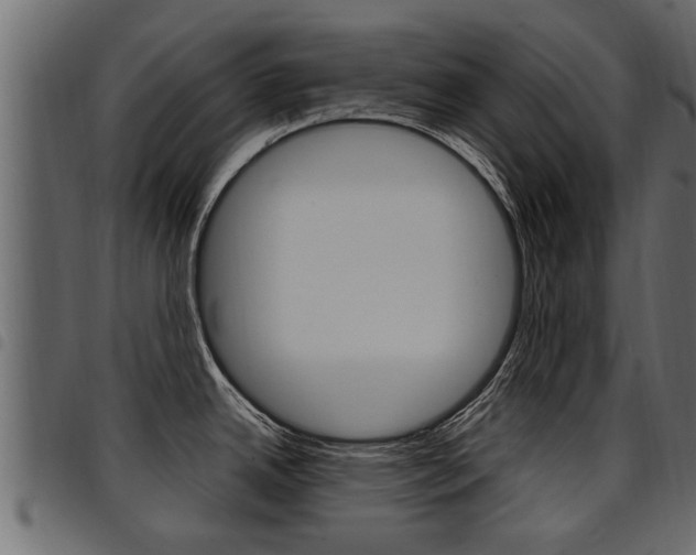 X0000094951342200711291056