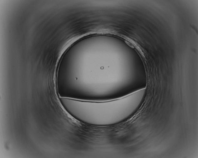 X0000094951343200711291056
