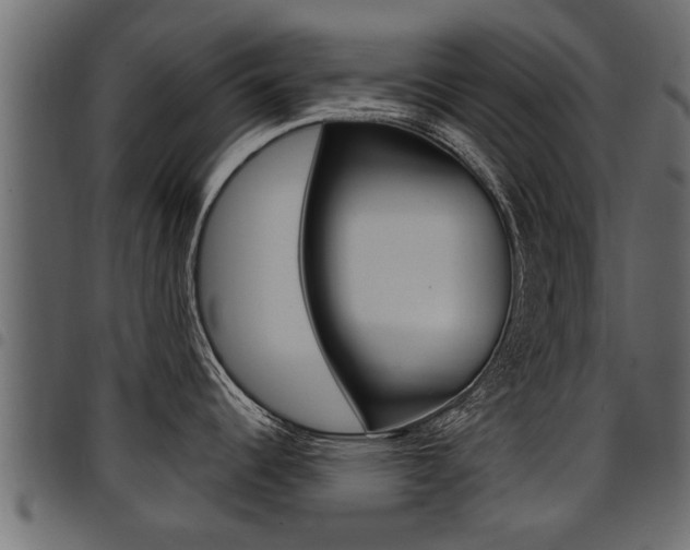 X0000094951344200711291056