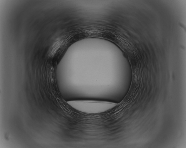 X0000094951346200711291056