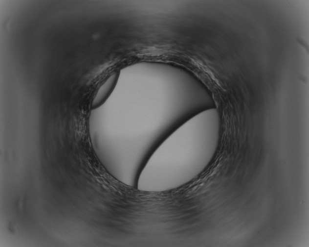 X0000094951350200711291056