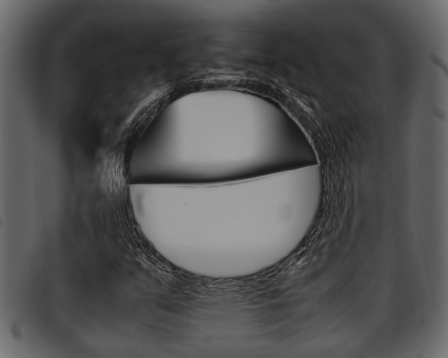 X0000094951351200711291056
