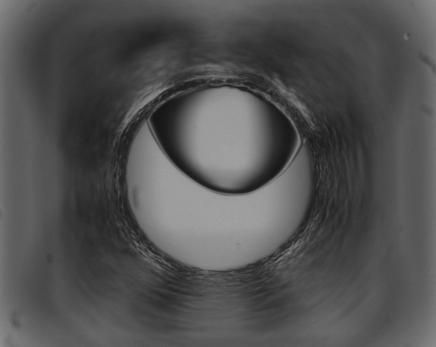 X0000094951352200711291056