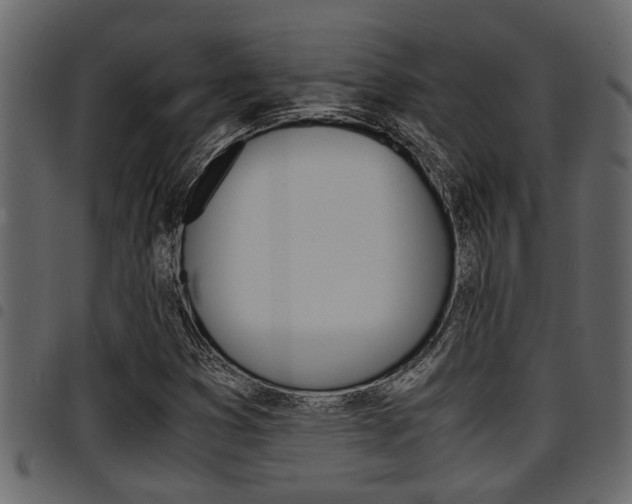 X0000094951353200711291056