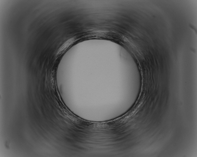 X0000094951354200711291056