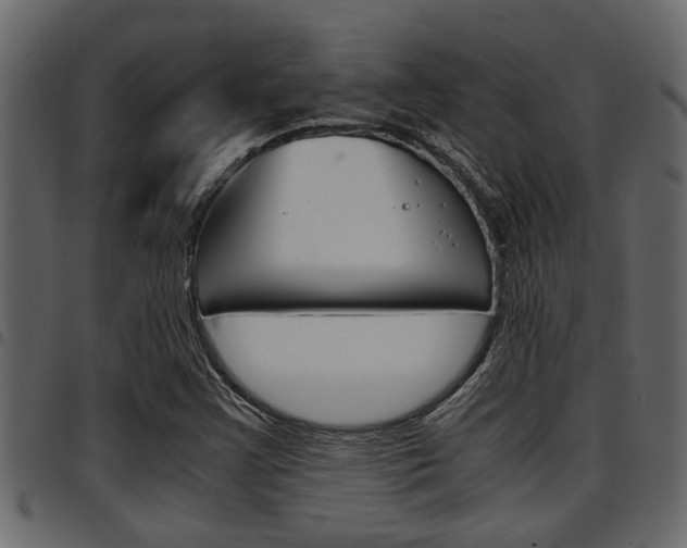 X0000094951355200711291056
