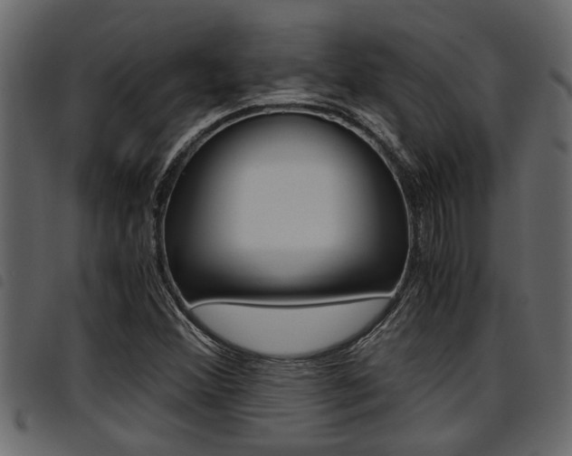 X0000094951356200711291056