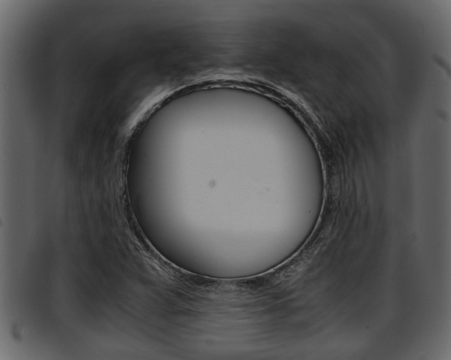 X0000094951359200711291056