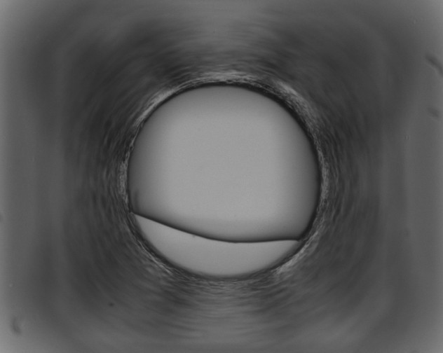 X0000094951361200711291056
