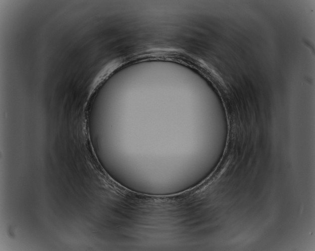 X0000094951362200711291056
