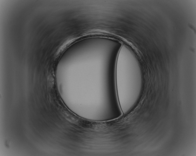 X0000094951363200711291056
