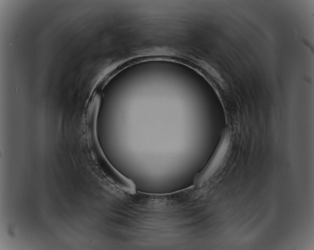 X0000094951364200711291056