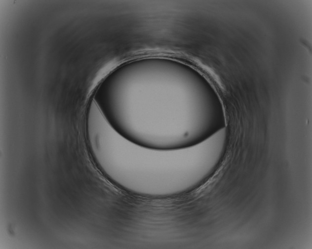 X0000094951365200711291056