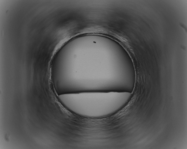 X0000094951366200711291056