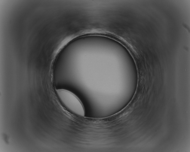 X0000094951367200711291056