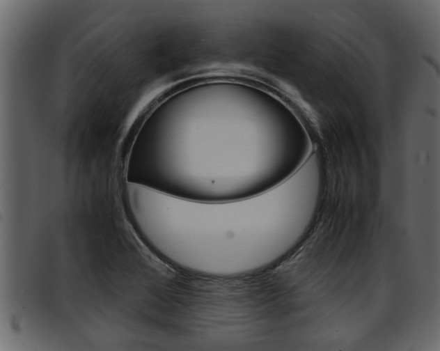 X0000094951368200711291056