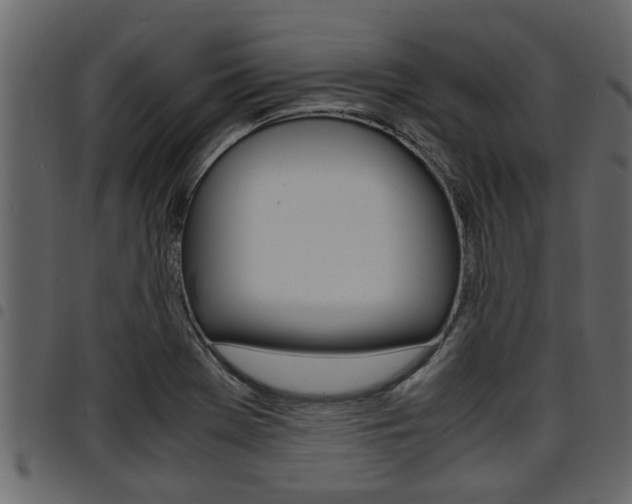 X0000094951369200711291056