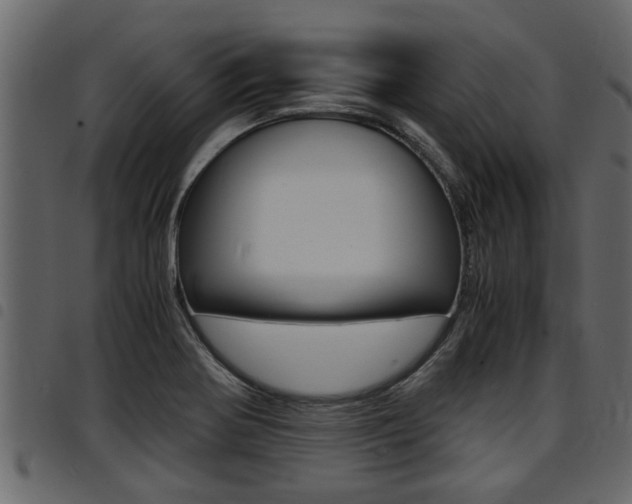 X0000094951370200711291055