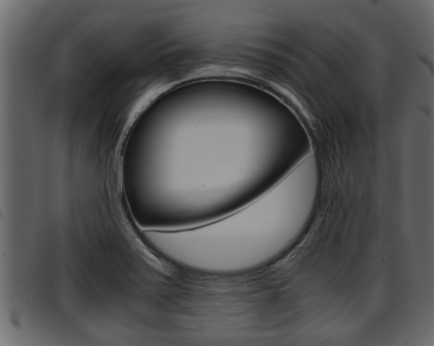 X0000094951371200711291055