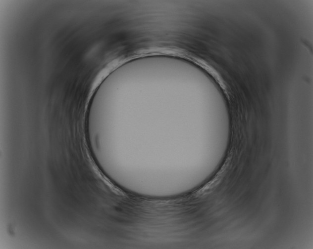 X0000094951373200711291055