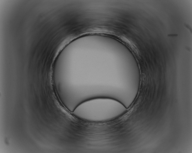 X0000094951374200711291055