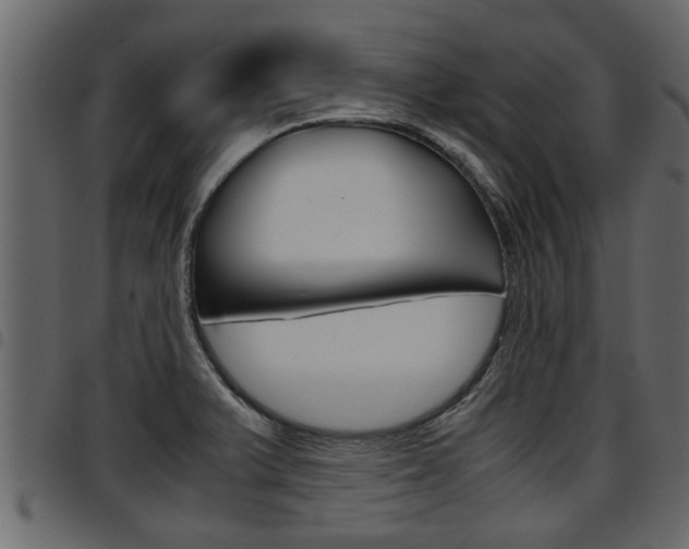 X0000094951375200711291055