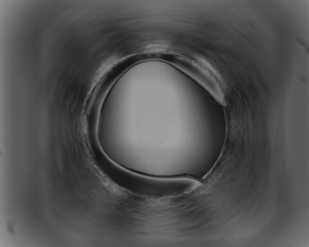 X0000094951376200711291055