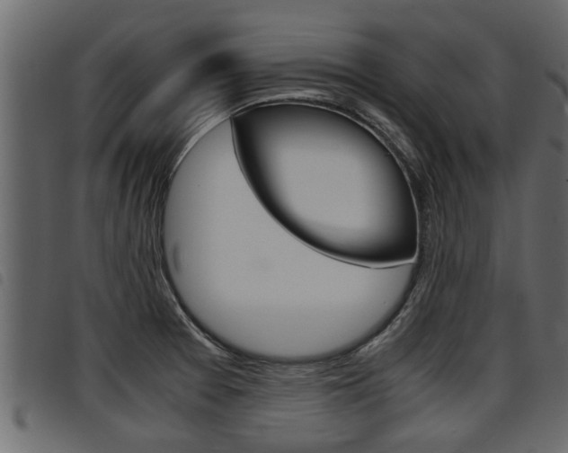 X0000094951377200711291055