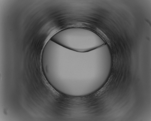 X0000094951378200711291055
