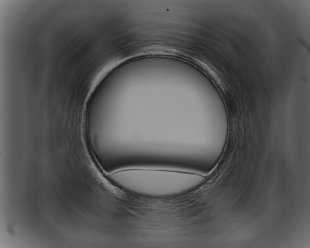 X0000094951379200711291055