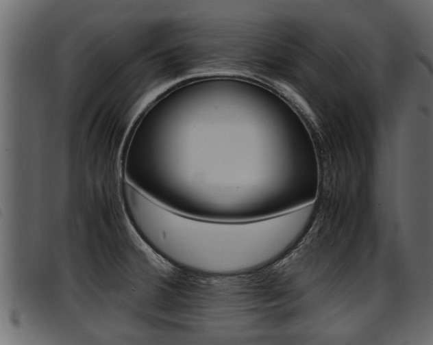 X0000094951380200711291055