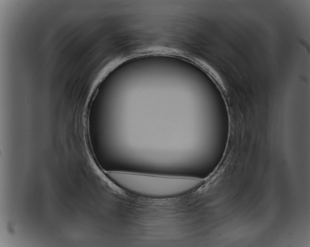 X0000094951381200711291055