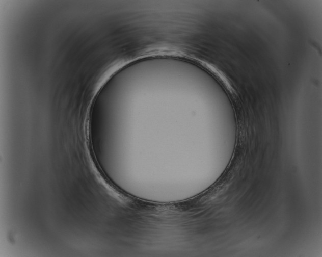 X0000094951383200711291055