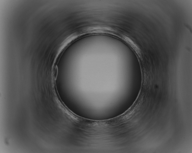 X0000094951384200711291055
