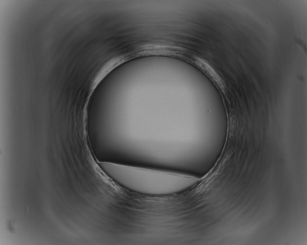 X0000094951386200711291055