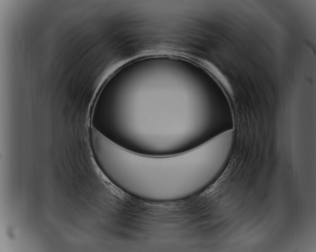 X0000094951388200711291055
